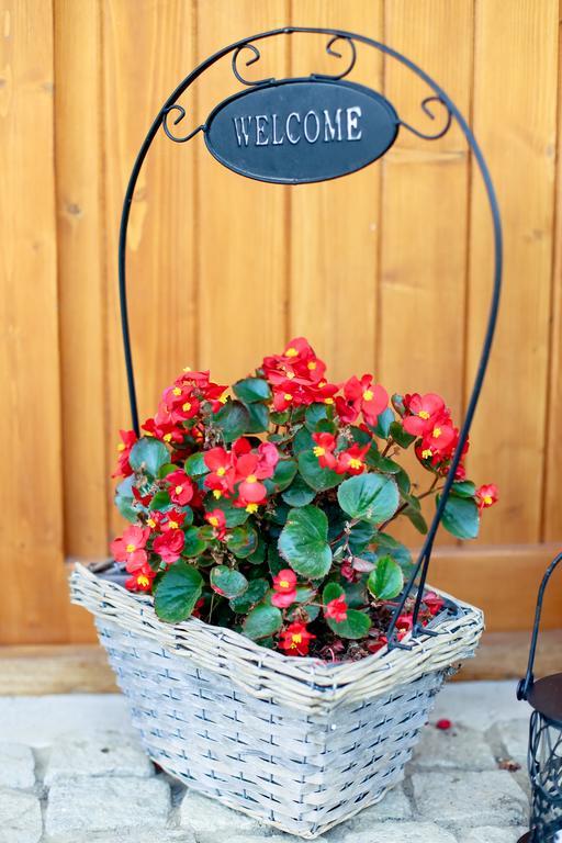 Landhaus Bed&Breakfast Vişeu de Sus Eksteriør bilde