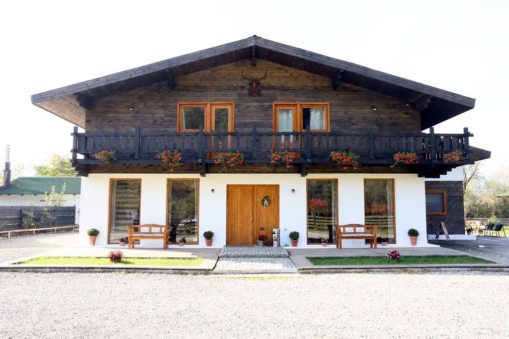 Landhaus Bed&Breakfast Vişeu de Sus Eksteriør bilde
