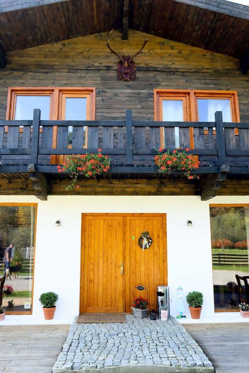 Landhaus Bed&Breakfast Vişeu de Sus Eksteriør bilde