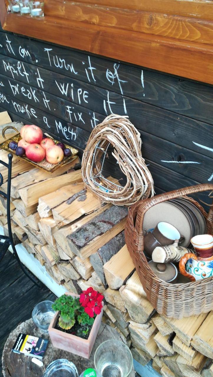 Landhaus Bed&Breakfast Vişeu de Sus Eksteriør bilde